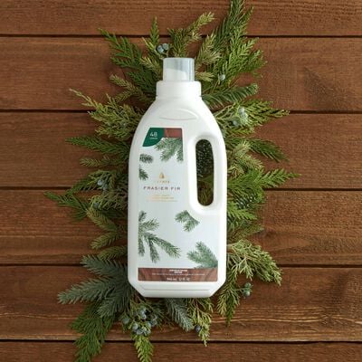 Thymes Frasier Fir Concentrated Laundry Detergent on Pine Stems